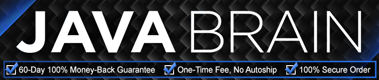 Java Brain batch